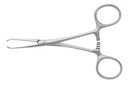 PORRIER INTESTINAL FORCEPS